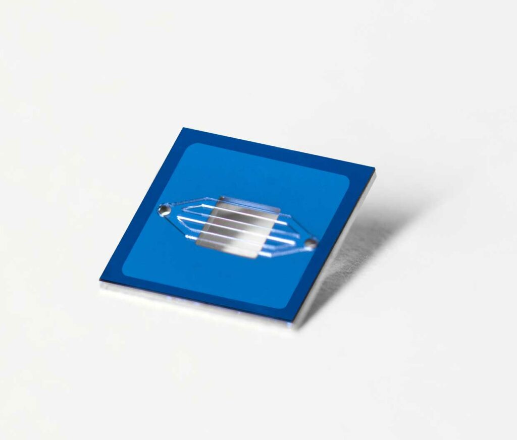 organ on a chip