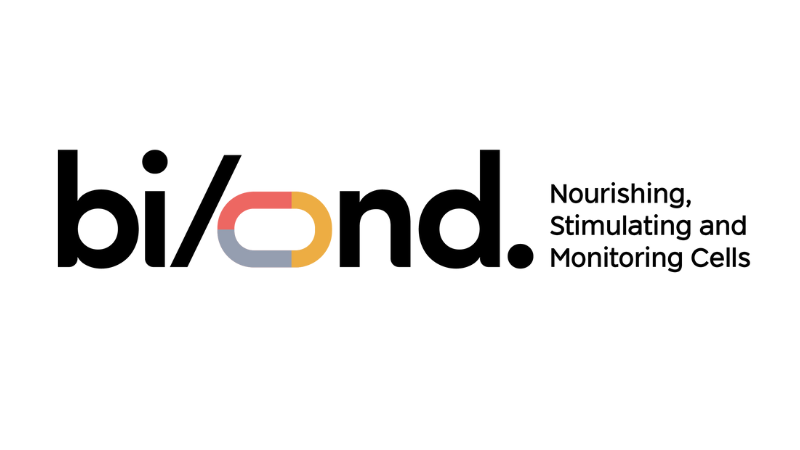 Bi/ond solutions - internship