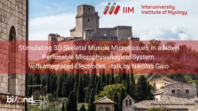 IIm meeting talk Skeletal Muscle culture