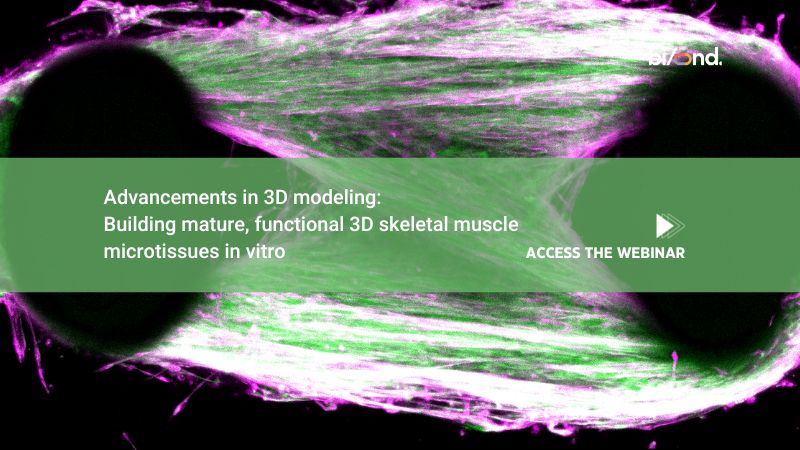 On Demand Webinar: Advancements in 3D modeling - Building mature, functional 3D skeletal muscle microtissues in vitro